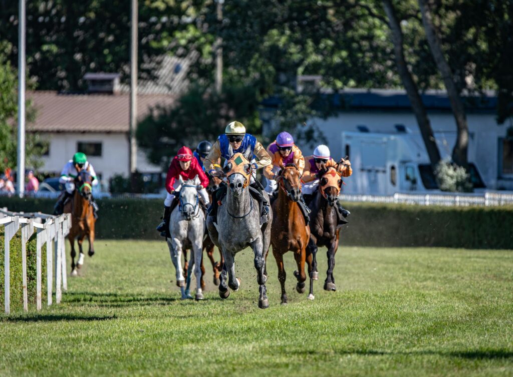 Using Algorithms to Improve Your Horse Betting Success Rate